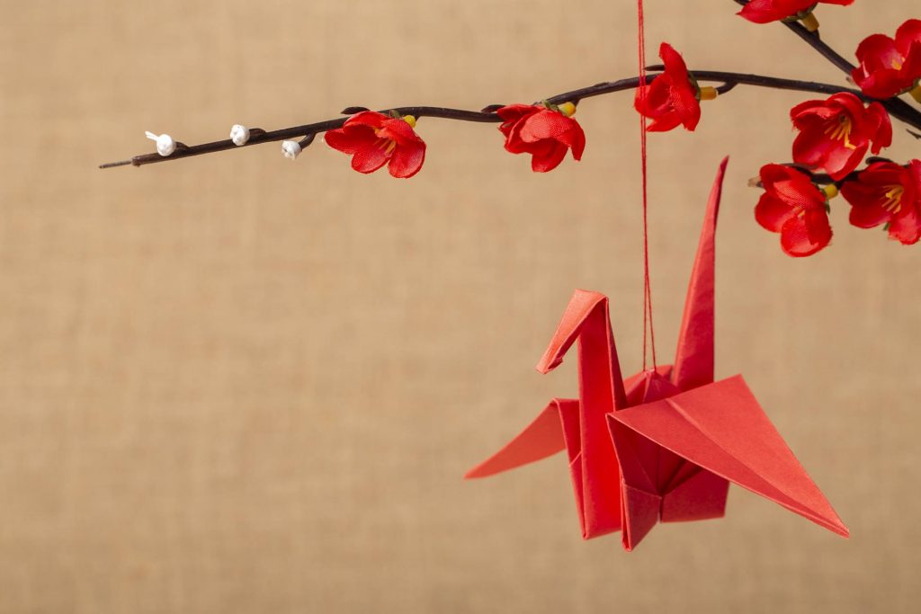 Carta origami - copertina
