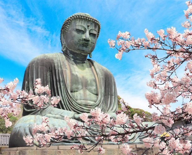 Negozi giapponesi online - Buddha